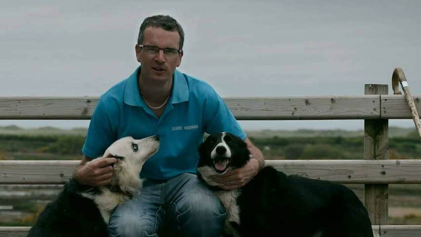 Martin and his sheepdogs at Atlantic sheepdogs