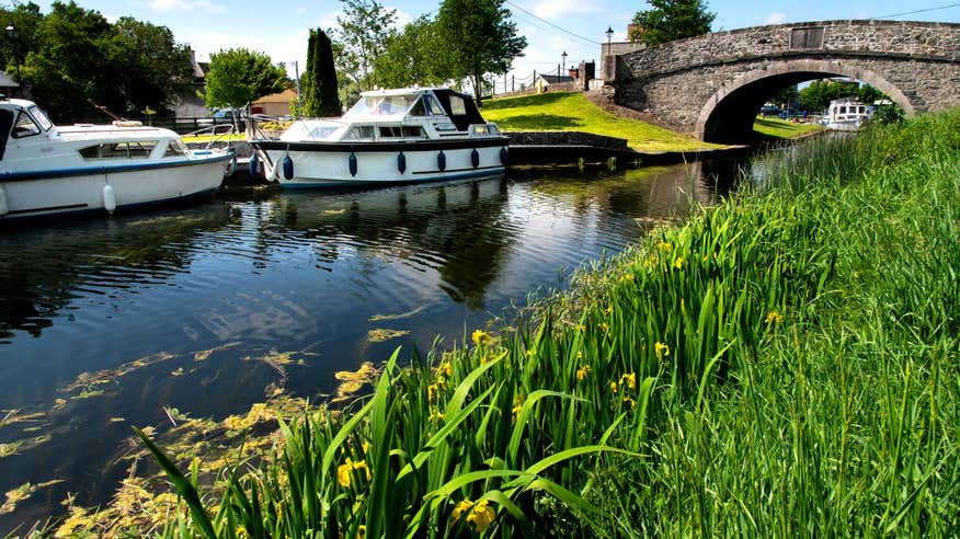 Boats passing under an arched bridge on the River Shannon with grass and flowers in the background