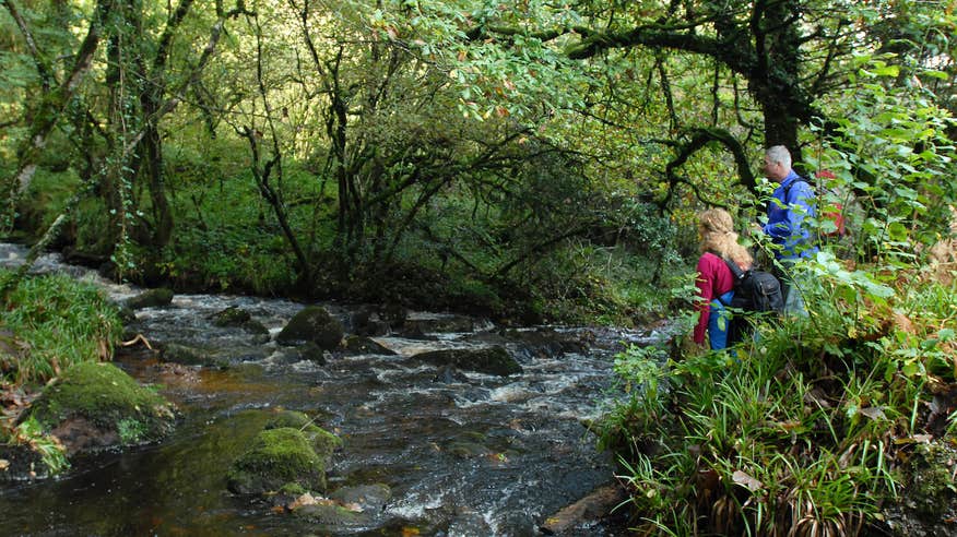 People hiking the Canon Sheehan Loop in Ballyhoura