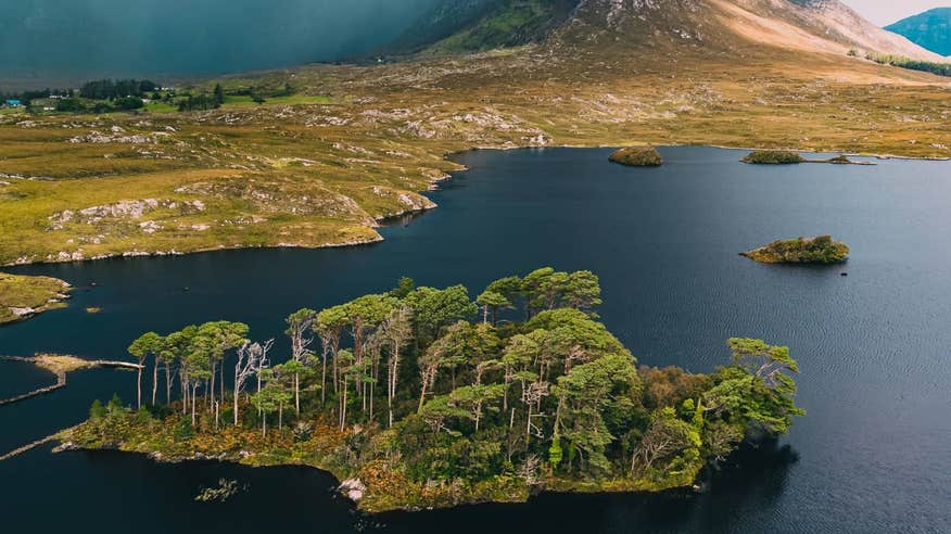 Soak up the incredible Connemara landscape.