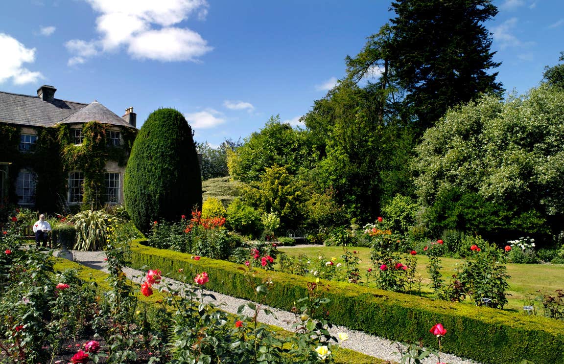 Roses' in bloom in a garden outside Altamont House, Carlow