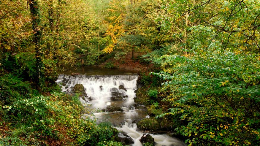 A waterfall and leafy trees in Dún na Rí Forest Park, Co. Cavan