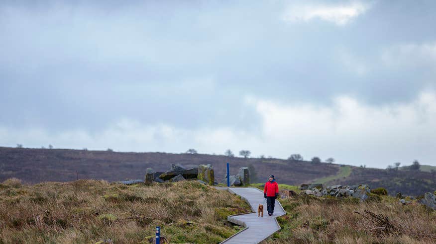 A person walking their dog through Cavan Burren Park in County Cavan