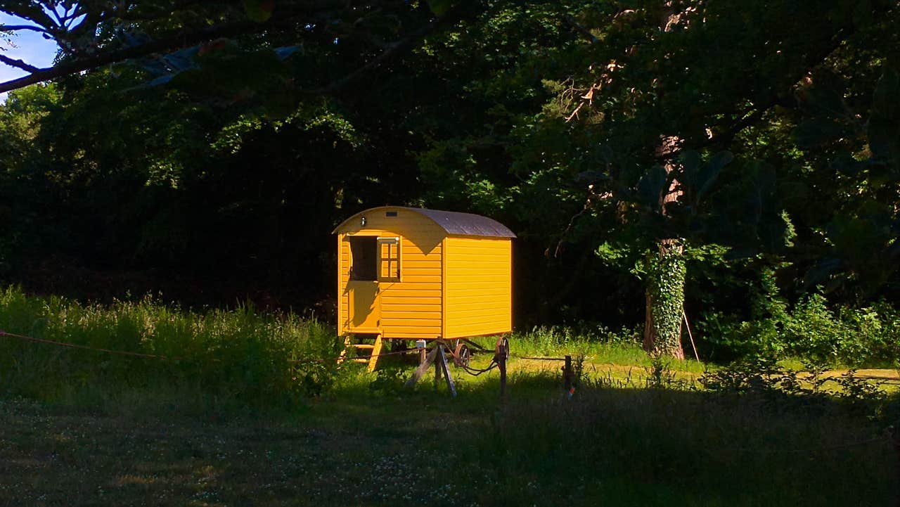 yellow hut