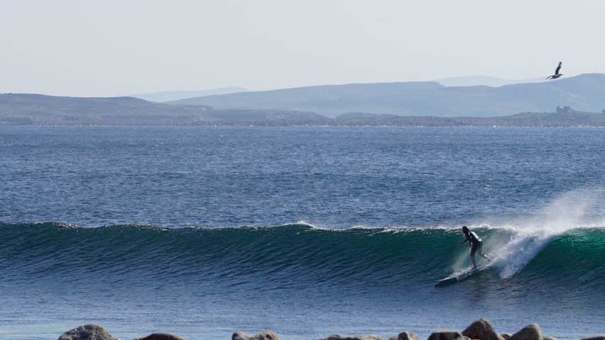Surfing the wave