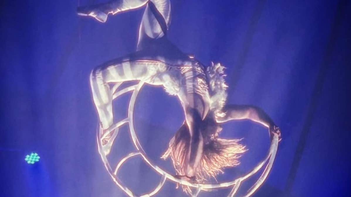 A trapeze artist is hanging upside down, intertwined in a rope ladder.