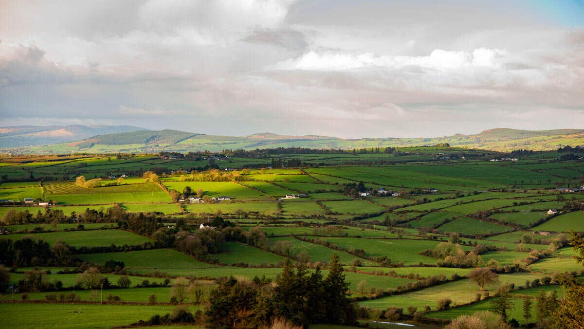 View towards green fields and hedges with a white cloudy sky