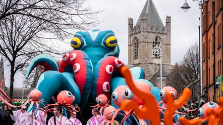 The parade has lots of large scale floats, that have been created by very talented parade companies from all over Ireland.
