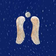 Hand drawn image of a pair of long, pale wings against dark blue sky at night with hint of stars