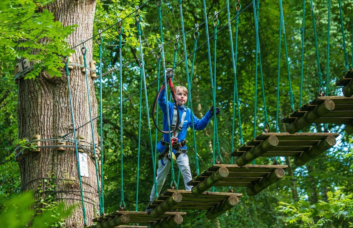 Boy walking across a rope bridge wearing a harness at Zipit Lough Key Ltd, Roscommon
