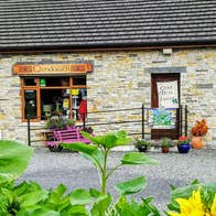 An exterior view of the craft shop which is a bungalow with a window to the left and right of the front door which has a long railed wheelchair ramp leading to the front door and in the forefront of the picture there is sunflowers in full bloom