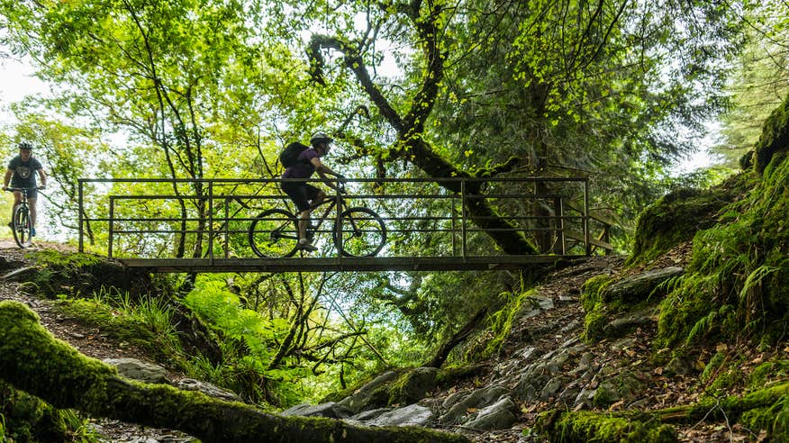 Cyclists on the Ballyhoura Mountain Biking Trails in Co Limerick
