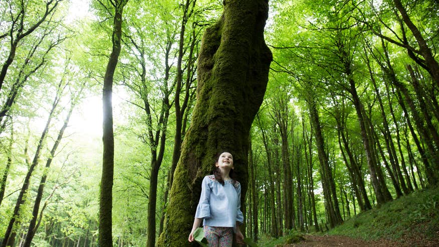 Appreciate the quiet in Mullaghmeen Forest.