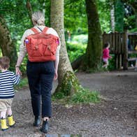 National Museum of Ireland, Turlough Park - rear view of adult and child walking in a wooded area