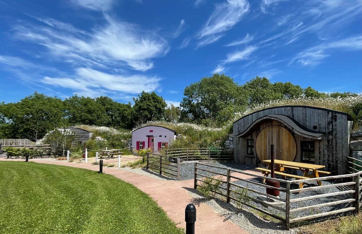 A row of glamping cabins in different colours with roofs of grass and white flowers.