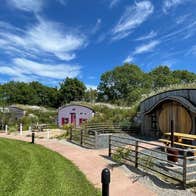 A row of glamping cabins in different colours with roofs of grass and white flowers.