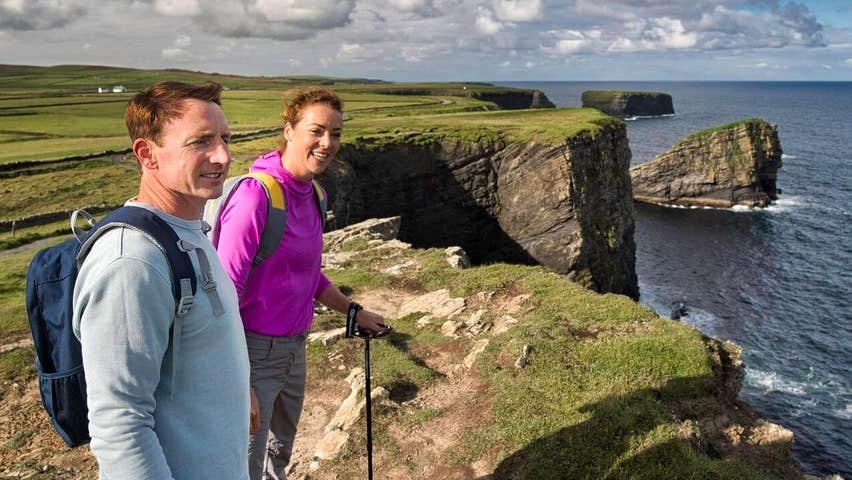 The Loop Head Flying Alpaca Tour with About Ireland Taxi Tours