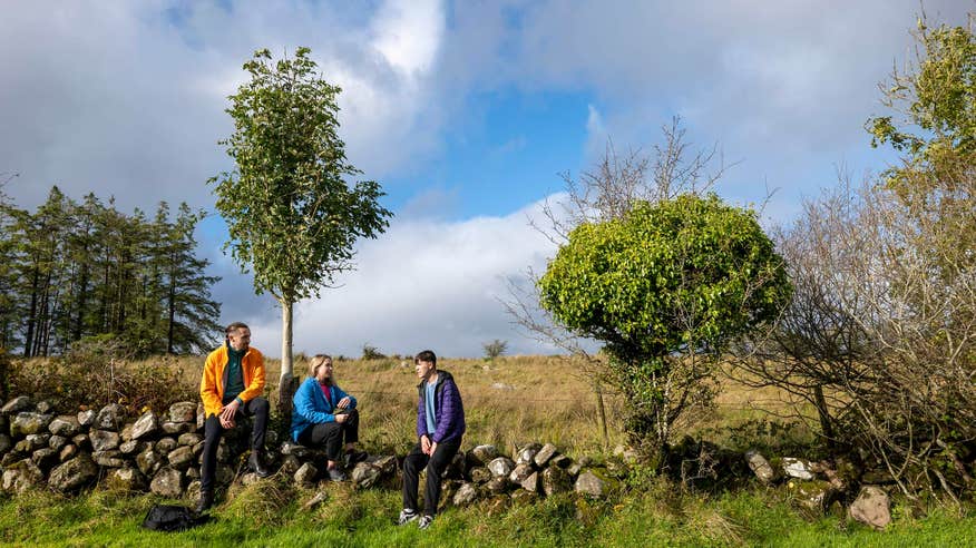 Three adult friends sitting on a rock fence in Cavan.