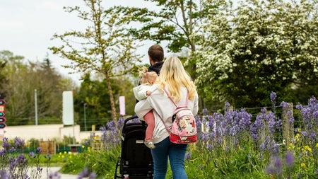 A couple and child walking on a path lined with shrubs and trees at Airfield Estate