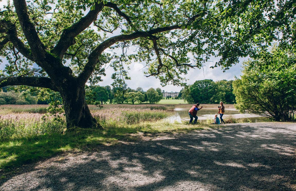 Family playing on the banks of a lake at Emo Court in Laois