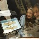 2 young girls looking with surprise at a display cabinet containing 2 bats mounted in a square case.