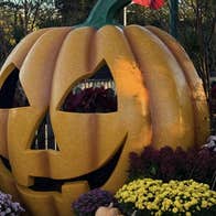 Picture of large pumpkin display