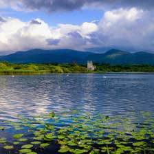 Lily pads in the water in front of Killarney Castle in County Kerry