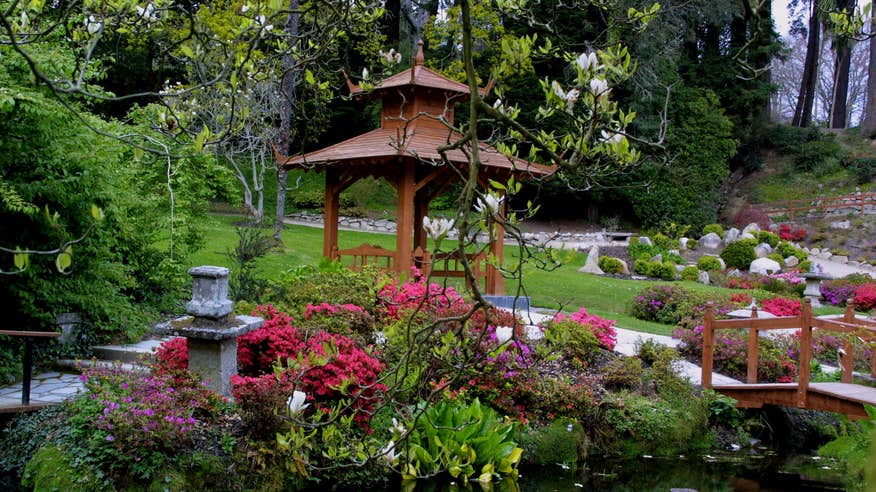 Japanese Gardens at Powerscourt House and Gardens in County Wicklow