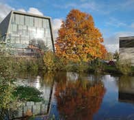 A colourful tree and modern building overlooking a river