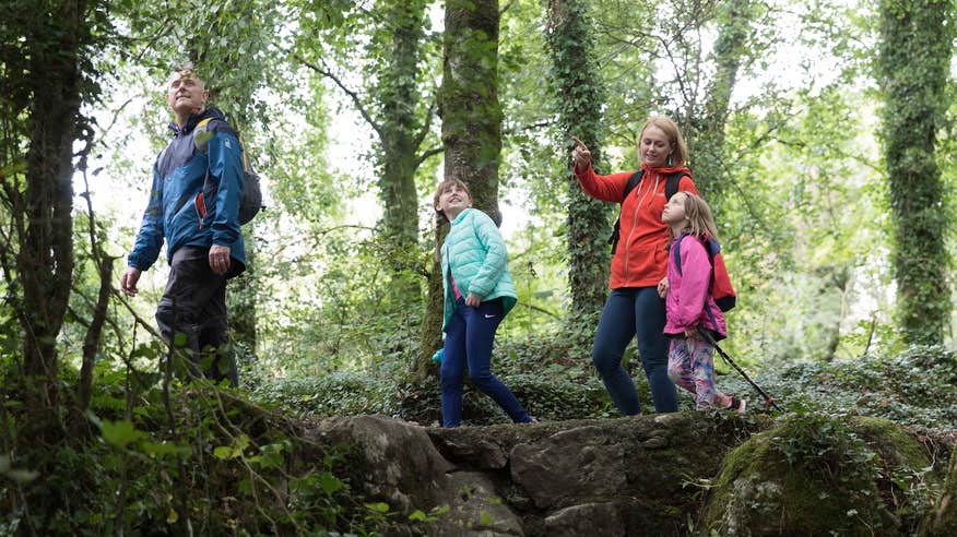 A family of four walking through the Dromore Wood Nature Reserve in Ennis, County Clare.