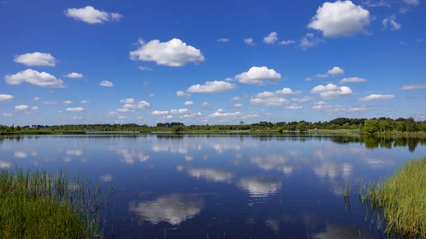 Lough Boora Discovery Park in Tullamore, Co Offaly