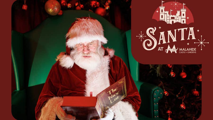 Immerse yourself in the warmth and charm of the historic Malahide Castle, with its timeless beauty and traditional decorations.