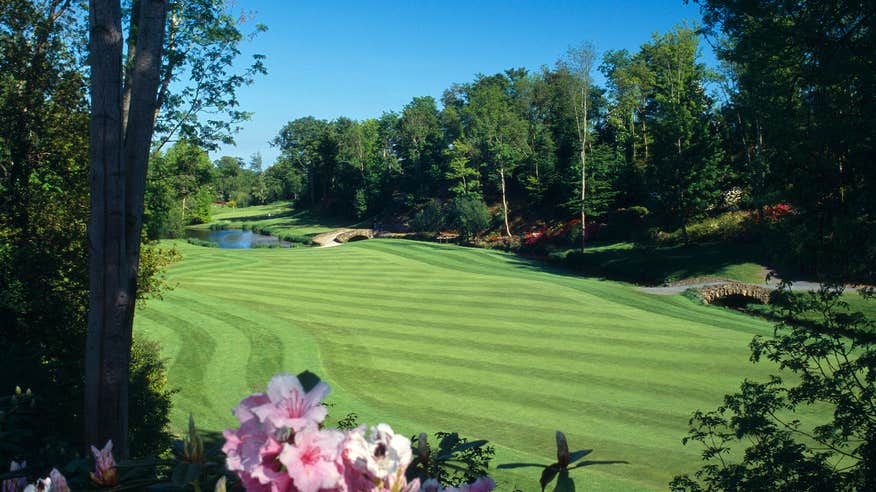 Spring flowers and the green of one of the holes at Druids Glen Golf Resort in Wicklow.