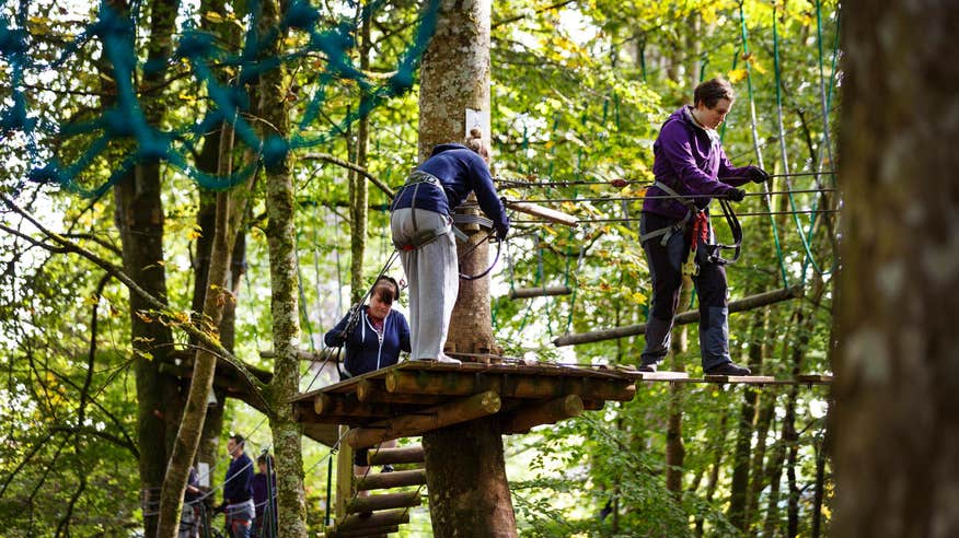 Image of people at Zipit in Lough Key Forest Park in County Roscommon 