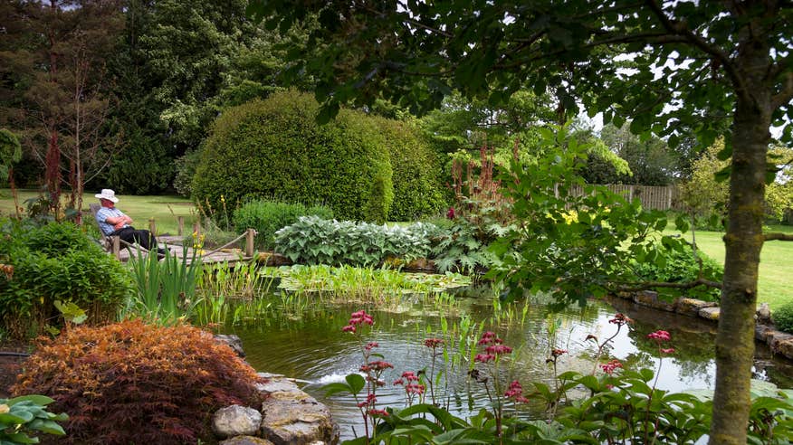A man sitting in Gash Gardens in Co Laois