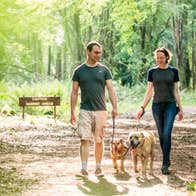 Image of a couple walking in Portumna Forest in County Galway