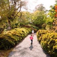 Children walking on a path in Mount Congreve Gardens