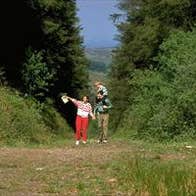 The Slieve Felim Way