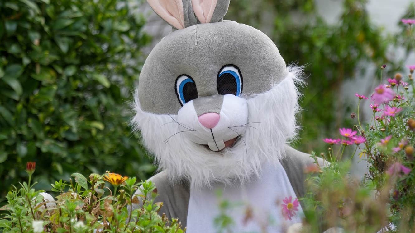 Easter Bunny in Fota Gardens