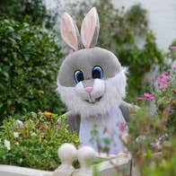 Easter Bunny in Fota Gardens