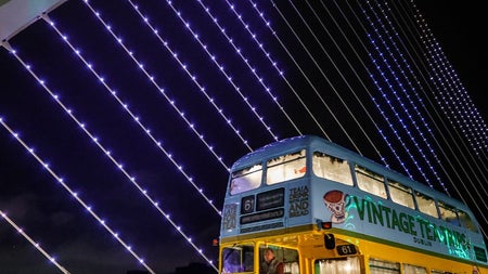 Vintage Tea Trips Christmas Lights Trip