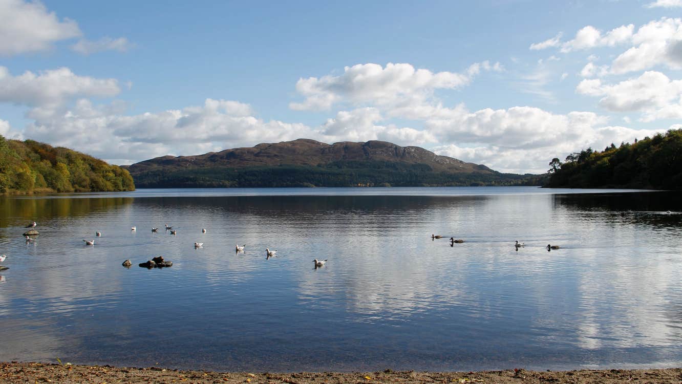 Hazelwood Forest and Lough Gill, County Sligo