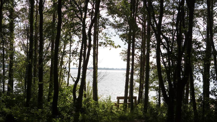 Lough Ennell in Co Westmeath