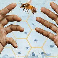 The Beekeeper of Aleppo /