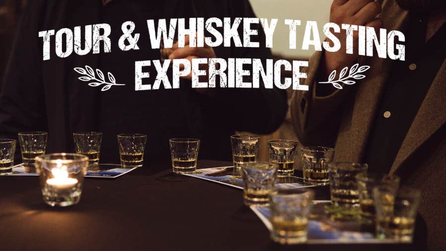 Tour & Whiskey Tasting Experience at Malahide Castle and Gardens