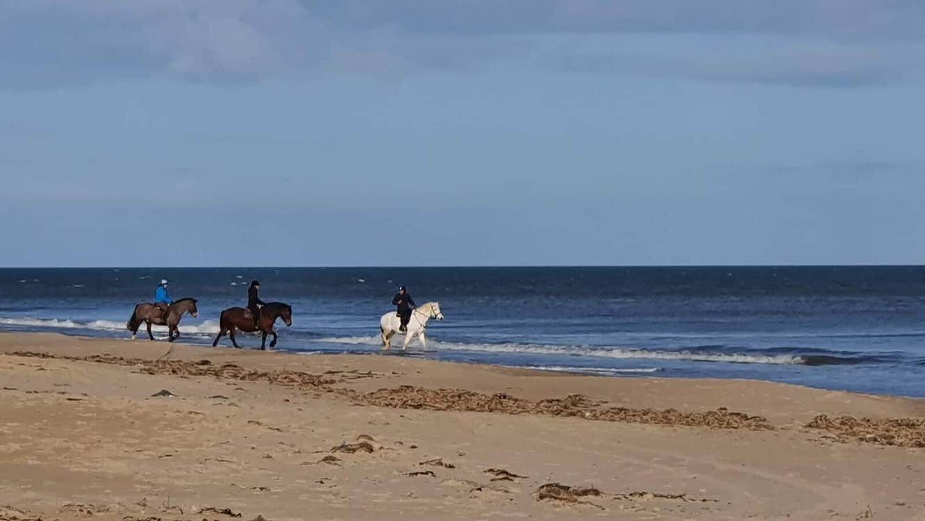 Three horses and riders on the seashore with sand