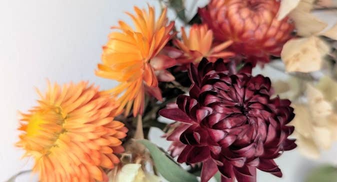 Make a Samhain Wreath, dried flowers in autumn colours