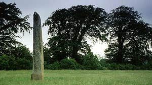 Punchestown Standing Stones