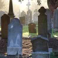 Glasnevin Cemetery in the evening, with headstones, trees and sunshine