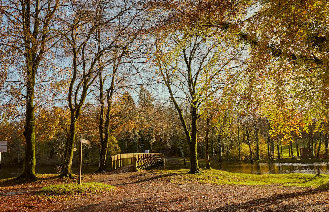 Killykeen Forest Park in Co Cavan